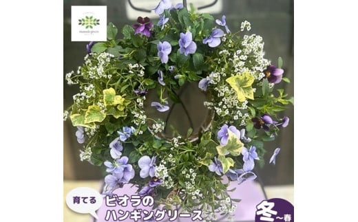 【オンライン決済限定】 花 育てる パンジー ビオラ ハンギング リース 寄せ植え  生花 自然 お花 植物 フラワー ギフト ガーデニング 飾り 庭 ベランダ 壁掛け 贈り物 おすすめ オススメ 静岡県 藤枝市