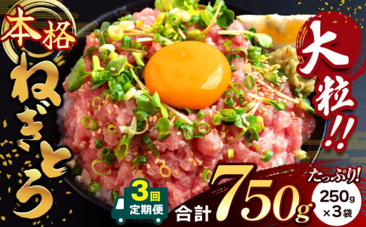 [ 3回 定期便 ] 大人気!ねぎとろ( 250g × 3袋 )合計 750g 清幸丸水産 | ネギトロ とろ 鮪 海鮮 魚介 魚 人気 小分け 人気 定番 ご飯 オススメ | 千葉県 君津市