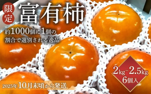 【限定】 富有柿 2kg～2.5kg 6個入 至高の逸品 約1000個に１個！【先行予約】【2025年10月末頃から発送】【KG5】 1398869 - 和歌山県和歌山市