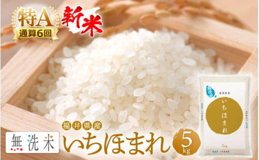 【新米】特A通算6回！無洗米 いちほまれ 5kg 令和6年 福井県産【お米 コメ kome 5キロ 精米 白米 便利 時短】 [e27-a034] 942592 - 福井県越前町