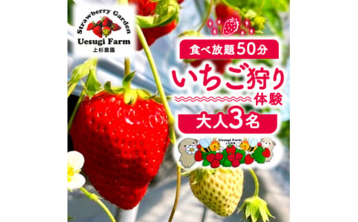 いちご狩り 大人3人 利用券【1556866】 1546519 - 京都府八幡市