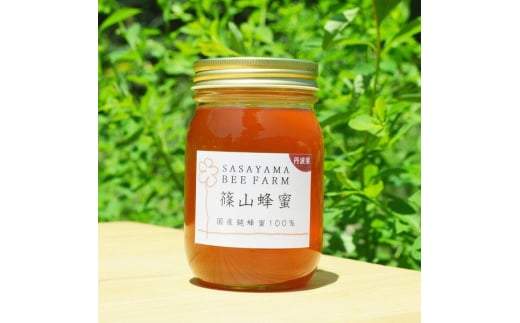 丹波篠山で採れた100％天然の生ハチミツ 篠山蜂蜜 百花蜜 500g　ハニー HONEY 蜂蜜 国産蜂蜜 国産ハチミツ 健康 純粋 国産 母 父 女性 男性 30代 40代 50代 60代 70代 80代 お取り寄せグルメ 贈答品 1543491 - 兵庫県丹波篠山市