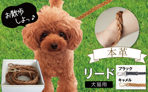 職人手作りの【本革】犬猫用リード 編み込みレザー ペット 愛犬 小型犬 犬 猫 本革 編み込み リード レザーリード ロングリード おしゃれ 人気 プレゼント 可愛い 紐 本革 レザー 日本製  H066-044