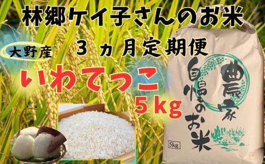 【3ヵ月定期便】令和6年産大野産いわてっこ5㎏