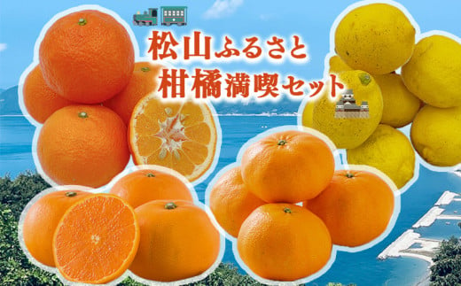 【1月下旬から発送】 【松山市ふるさとセット】 伊予柑 甘平 せとか レモン 柑橘満喫セット（ 愛媛みかん 愛媛ミカン みかん ミカン mikan 蜜柑 フルーツ 果物 くだもの お取り寄せ 産地直送 数量限定 人気 おすすめ 愛媛 松山 フジ・アグリフーズ）