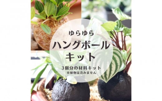 360度楽しめる！吊るせる観葉植物「ゆらゆらハングボールキット」