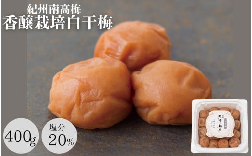 梅干し 香壌栽培の白干梅（塩分20％）400g  / 田辺市 梅干し 梅干 梅 うめ 肉厚 お米 おにぎり おむすび 健康 うす塩味  塩分20％ お弁当 白干 焼酎 紀州産【isg017-2】 925092 - 和歌山県田辺市