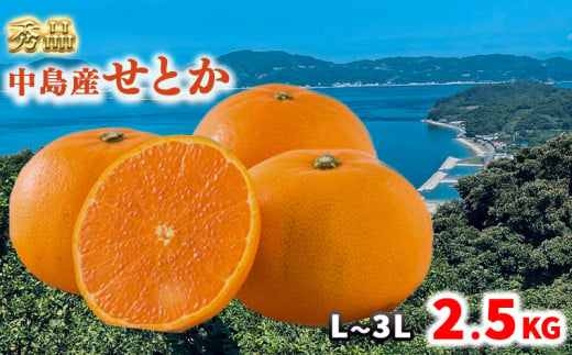 【3月上旬から発送】 【秀品】 松山市 中島産 松山市中島産 せとか L～3Lサイズ　2.5kg （ 愛媛みかん 愛媛ミカン みかん ミカン mikan 蜜柑 柑橘 フルーツ 果物 くだもの お取り寄せ 産地直送 数量限定 人気 おすすめ 愛媛 松山 フジ・アグリフーズ）