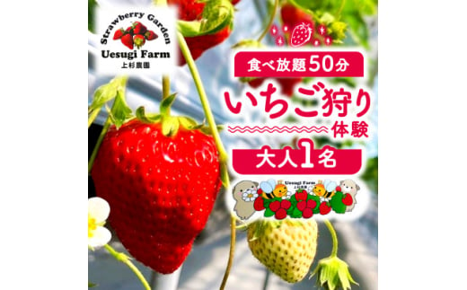 いちご狩り 大人1人 利用券【1556863】 1546518 - 京都府八幡市