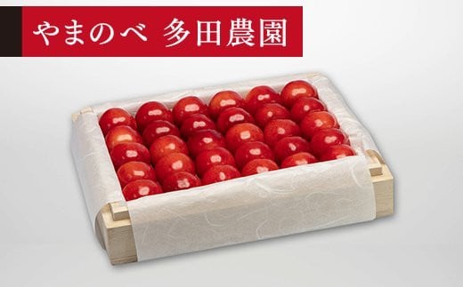 《先行予約》2025年 山形県産 特選紅秀峰 桐箱詰め 約300g 2L以上 やまのべ多田耕太郎のさくらんぼ サクランボ F20A-049 254728 - 山形県山辺町