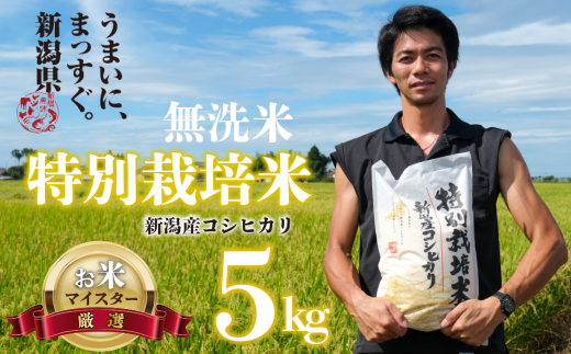 新米 無洗米 コシヒカリ 5kg 令和6年産 特別栽培米 こしひかり ご飯 備蓄 コメ お米 米 こめ しんまい 新潟産 新潟米 新潟県 新潟 新発田 新発田市 国産 斗伸 1351470 - 新潟県新発田市