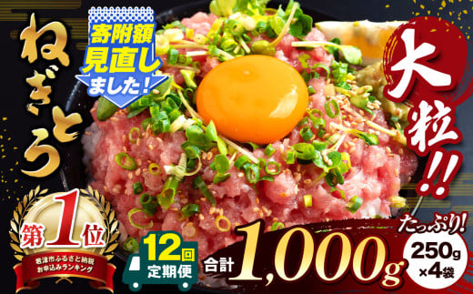 【 定期便 ・ 12ヶ月 】 清幸丸水産 大人気！ ねぎとろ 1000g | ネギトロ とろ 鮪 海鮮 魚介 魚 人気 小分け 人気 定番 ご飯 オススメ 千葉県 君津市 きみつ 554933 - 千葉県君津市