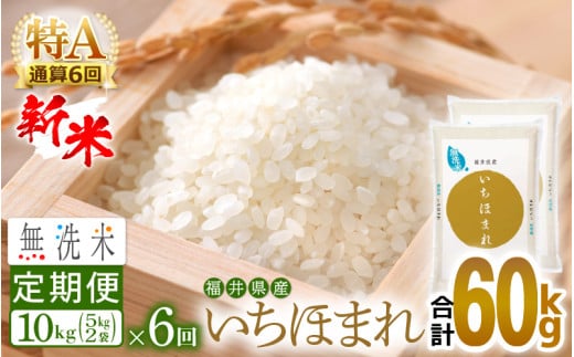 【新米】無洗米 定期便≪6ヶ月連続お届け≫いちほまれ 10kg × 6回（計60kg）特A通算6回！令和6年 福井県産【お米 コメ kome 計60キロ 精米 白米 便利 時短】 [e27-k005] 367518 - 福井県越前町