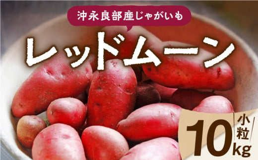 【2025年先行予約】沖永良部産じゃがいも『レッドムーン』小粒サイズ10kg　C065-002-02 1341598 - 鹿児島県知名町