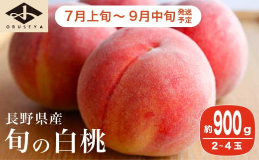 旬の白桃 約900g 2～4玉 ［小布施屋］ 長野県産 白桃 もも モモ フルーツ 果物 長野県産 信州産 クール便 冷蔵便 たまき なつき あかつき 川中島白鳳 川中島白桃など 令和7年産 【2025年7月上旬～9月中旬発送】 ［A-308］