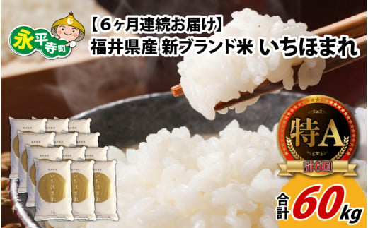 【6ヶ月連続お届け】令和6年度産 福井県産新ブランド米 いちほまれ 10kg（5kg×2袋）×6ヶ月（計60kg） [K-002039] 856250 - 福井県永平寺町