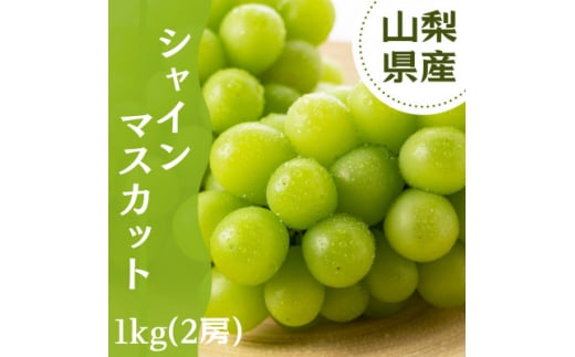 ＜2025年先行受付＞やみつきシャインマスカット 1kg秀【1546294】 1476901 - 山梨県山梨市