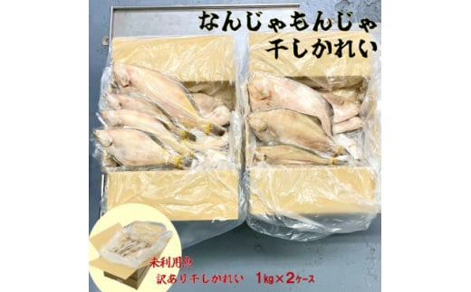 なんじゃもんじゃ訳あり未利用魚かれい　2kgセット【1521673】 1543810 - 岩手県宮古市