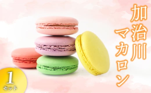 マカロン 1セット 【 イチジク 枝豆 桜 苺 はちみつ レモン いちご えだまめ 洋菓子 菓子 お菓子 スイーツ 甘味 ギフト プレゼント お土産 正和 新潟県 新発田市 showa001 】 1541725 - 新潟県新発田市