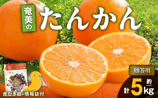 【2025年先行予約】奄美のたんかん贈答用5kg（皮むき器・情報誌付）　A052-022-02 571716 - 鹿児島県奄美市