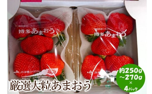 【2025年先行予約】厳選大粒あまおう(約250-270g×4パック)【044-0014】 965439 - 福岡県中間市