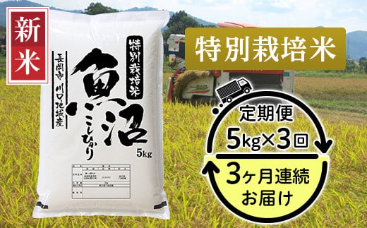 94-6K53【3ヶ月連続お届け】特別栽培米 新潟県魚沼産コシヒカリ（長岡川口地域）5kg 218574 - 新潟県長岡市