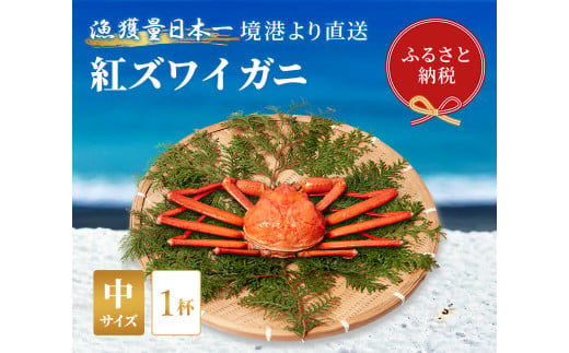 【蟹セレブ】ズワイガニ（紅ズワイガニ）中1杯（400～500g×1） 冷蔵 カニ ボイル 紅ズワイガニ 新鮮 ズワイガニ ずわいがに 期間限定 国産 鳥取県 倉吉市