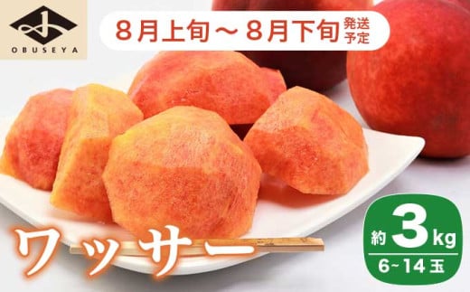 ワッサー 約3kg 6～14玉 ［小布施屋］ フルーツ 果物 長野県産 信州産 クール便 冷蔵便 数量限定 産地直送 令和7年産 【2025年8月上旬～8月下旬発送】 ［A-54］ 227586 - 長野県小布施町