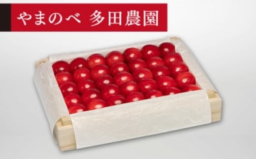 《先行予約》2025年 山形県産 特選佐藤錦 桐箱詰め 約300g 2L やまのべ多田耕太郎のさくらんぼ サクランボ tn-snxxk300