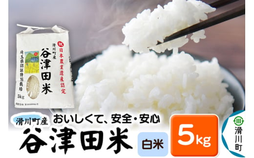 【白米】埼玉県滑川産のお米「谷津田米」5kg 令和6年産 埼玉県認証特別栽培