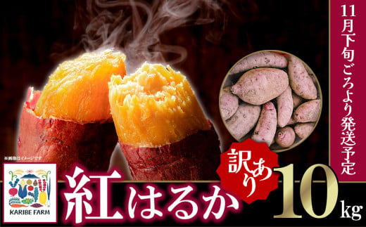 【先行予約】【訳あり】茨城県産 さつまいも 「紅はるか」 10kg【2024年11月下旬ごろ順次発送】【さつまいも 紅はるか 甘い ねっとり サツマイモ 焼き芋 芋 大容量 茨城県産 焼き芋 スイートポテト レシピ】 1504063 - 茨城県下妻市