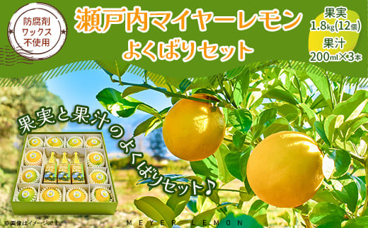 瀬戸内マイヤーレモン よくばりセット 果実 果汁 食べ比べ 飲み比べ 化粧箱入り レモン オレンジ 交配 品種 果汁 100％ ジュース お酒 ドレッシング おすすめ 檸檬 れもん 柑橘 みかん 蜜柑 フルーツ 1542842 - 山口県岩国市