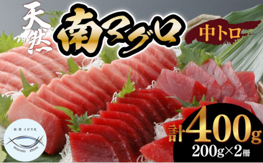 【中トロ】天然南マグロ　中トロ２柵【解凍書付】