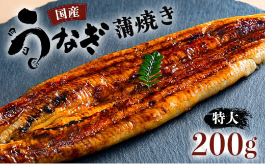 国産うなぎ蒲焼 有頭（特大）200g以上 1尾 ウナギ 鰻 高知県 東洋町 四国 お取り寄せ 家庭用 自宅用 贈り物 ギフト タレ・山椒付き うな重 鰻丼 うな丼 うな茶漬け 【送料無料】U010 1184917 - 高知県東洋町