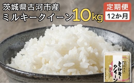 【定期便 12か月】【新米】 令和6年産 古河市産ミルキークイーン 10kg(5kg×2袋) | 米 こめ コメ みるきーくいーん 単一米 国産 産地直送 茨城県 古河市 _DP95