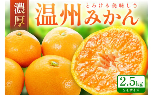 「濃厚な味のとろける美味しさ」温州みかん 2.5kg ミカン サイズ混合 S〜Lサイズ 甘い 果物 フルーツ 濃厚 産地直送 期間限定 デザート 贈り物 贈答