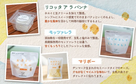 竹下牧場 takeshita farm 【3ヶ月配送】リコッタチーズセット 計470g