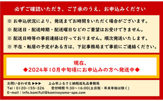 山形県上山市のふるさと納税 かみのやまシュー　１０個　0048-2406