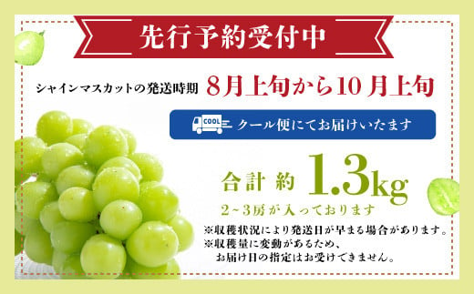 佐賀県鹿島市のふるさと納税 【先行予約】 【2025年8月上旬以降発送】シャインマスカット 2～3房 約1.3kg 佐賀県産 旬の採れたてシャインマスカット 果物 フルーツ ふるさと納税 佐賀県 鹿島市 B-658