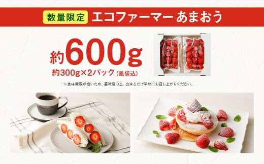 【数量限定300g】エコファーマー あまおう 約300g×2パック 計600g