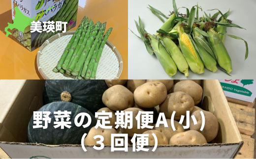 ≪令和７年産予約受付！≫サスケの家　野菜の定期便A【小】（３回便）[031-03] 1543211 - 北海道美瑛町