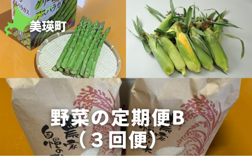 ≪令和７年産予約受付！≫サスケの家　野菜の定期便B（３回便）[051-07] 1124003 - 北海道美瑛町