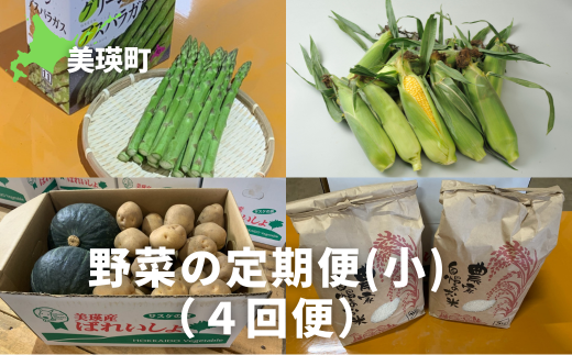 ≪令和７年産予約受付！≫サスケの家　野菜の定期便【小】（４回便）[042-07] 1543208 - 北海道美瑛町