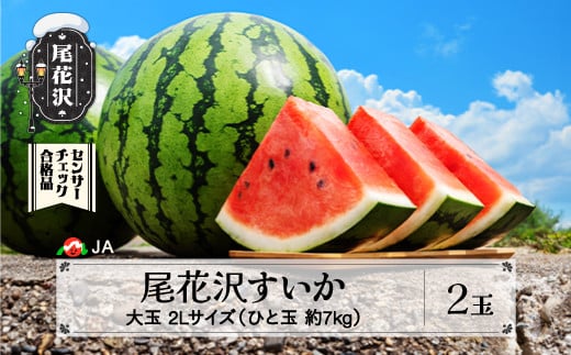 先行予約 尾花沢 すいか 2Lサイズ 約7㎏×2玉 7月下旬～8月10日頃発送 スイカ 2025年産 令和7年産 JA ja-su2xx2