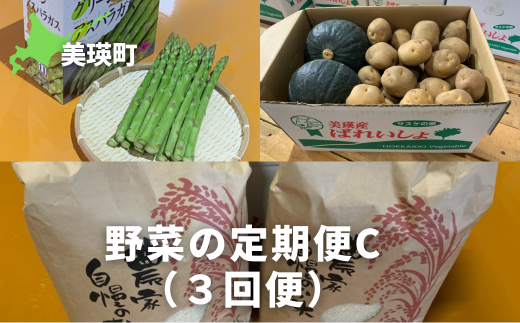 ≪令和７年産予約受付！≫サスケの家　野菜の定期便C（３回便）[049-02] 1124004 - 北海道美瑛町