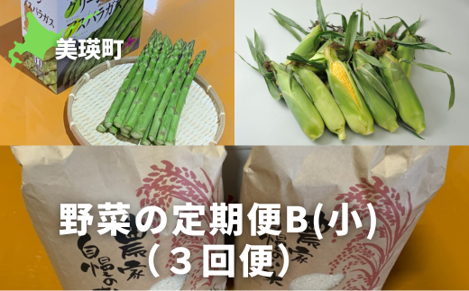 ≪令和７年産予約受付！≫サスケの家　野菜の定期便B【小】（３回便）[034-12] 1543210 - 北海道美瑛町