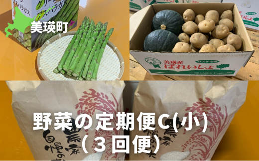 ≪令和７年産予約受付！≫サスケの家　野菜の定期便C【小】（３回便）[032-17] 1543209 - 北海道美瑛町