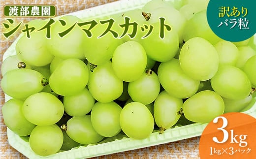 【令和7年産先行予約】 訳あり バラ粒 シ