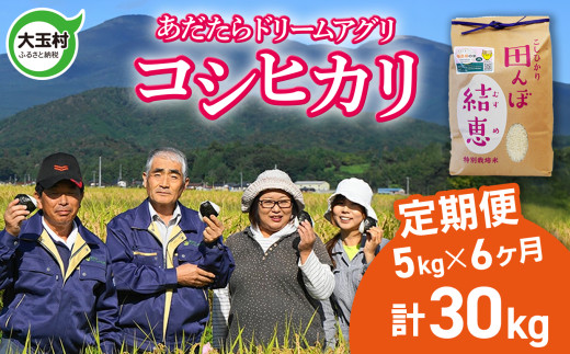 米 定期便 5kg 6か月 コシヒカリ 合計 30kg 特別栽培米【 令和6年産 新米 】【 おいしいお米コンクール 受賞米 あだたら ドリームアグリ 】 こしひかり 福島県 大玉村 精米 米作り ｜ da-kh05-t6-r6 276975 - 福島県大玉村