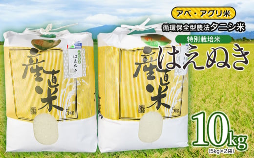 令和6年産 特別栽培米 はえぬき（タニシ米）10kg（5kg×2袋）　山形県鶴岡産　アベ・アグリ米